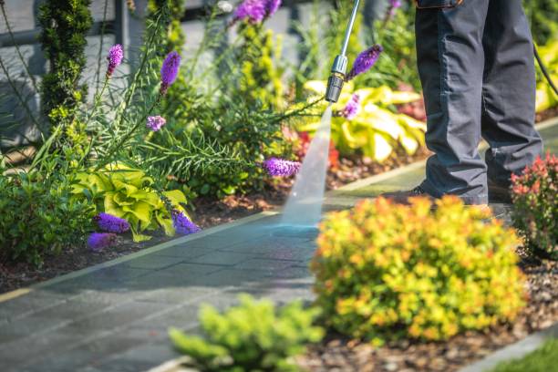 Best Pool Deck Cleaning in Annandale, MN