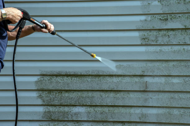 Best Driveway Cleaning and Restoration in Annandale, MN