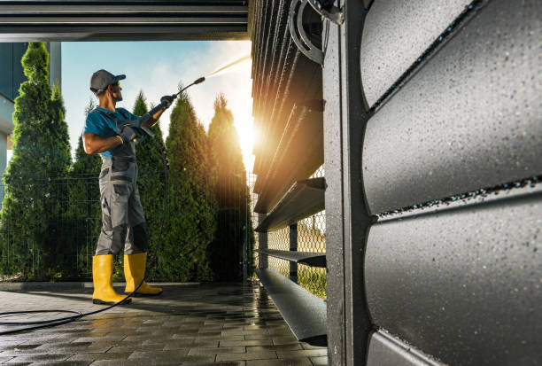 Best Gutter Cleaning and Brightening in Annandale, MN